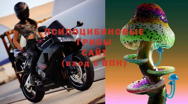 крисы Алексин