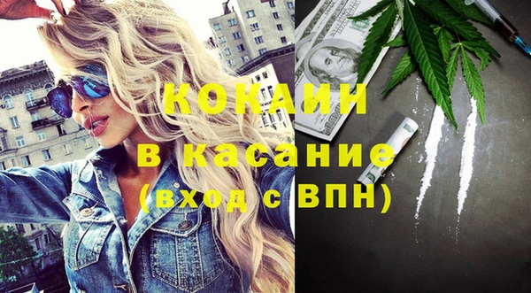 крисы Алексин