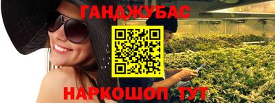 альфа пвп Новодвинск