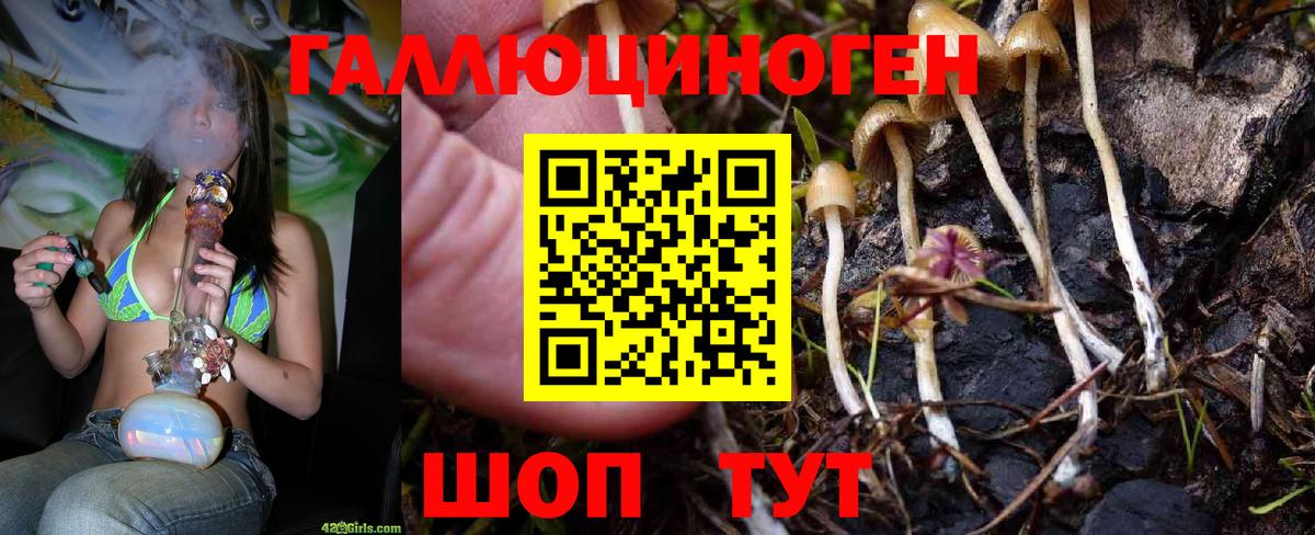 Галлюциногенные грибы Psilocybe  Псилоцибиновые грибы GOLDEN TEACHER  Рубцовск  Вход с VPN 