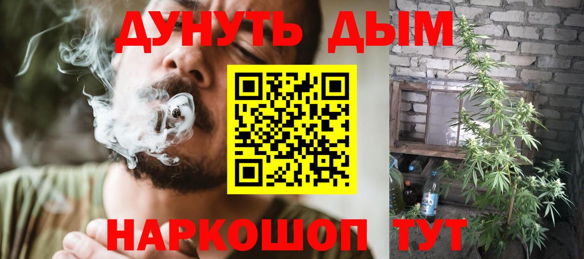 Шишки марихуана Amnesia Рубцовск